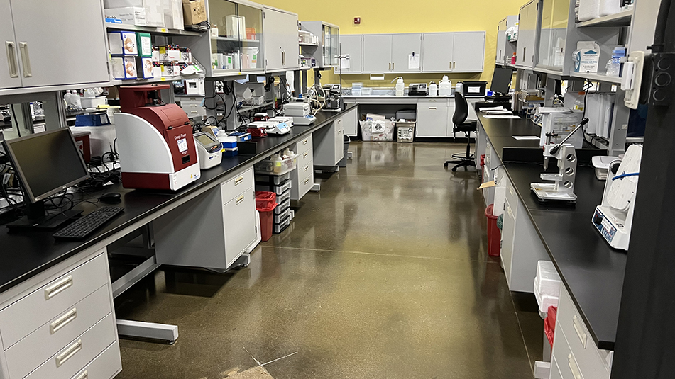 Lab Area